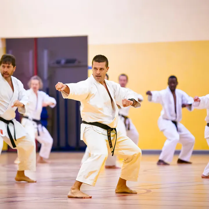 France Shotokan Karaté Bordeaux — arts martiaux-studio à Bordeaux — 4