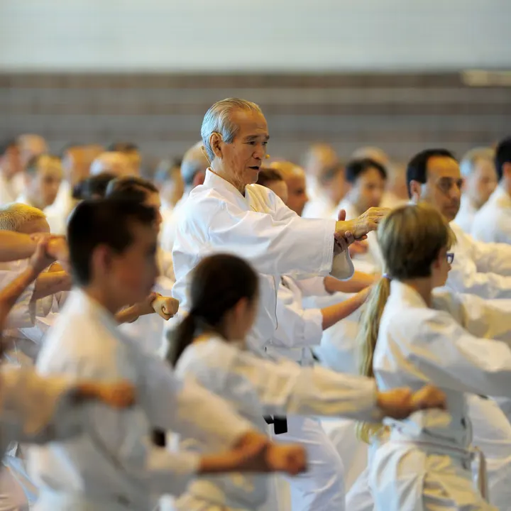 France Shotokan Karaté Bordeaux — Arts martiaux à Bordeaux Centre, Bordeaux