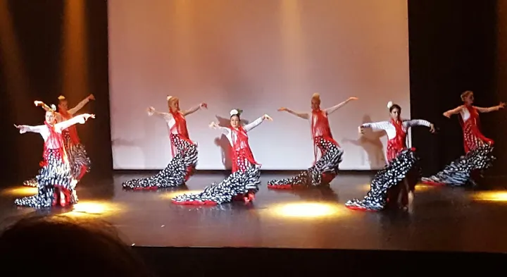 Flamenco Pasión — danse-studio à Nice — 3