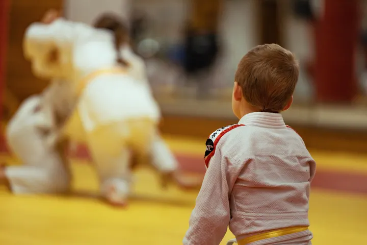 Zempo Judo — Vechtsport in Rijswijk Zuid, Delft