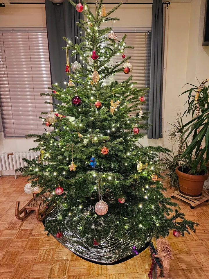 Annelieses Tanzschule und Ballettschule — tanz-studio in Hamm-Mitte, Hamm — 3