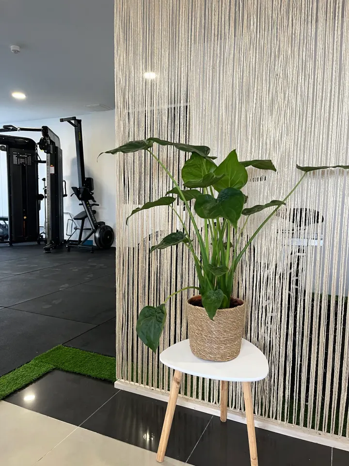 Essential Fitness Studio — ginásio-studio em Boavista, Braga — 3