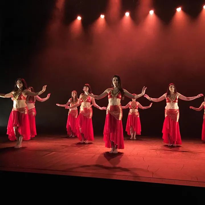 Danses du Monde 35 — danse-studio à Francisco-Ferrer - Vern, Rennes — 3
