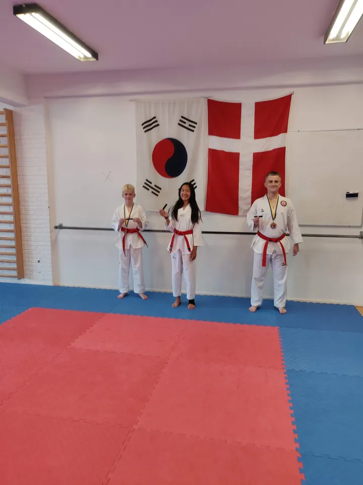 Herlev Taekwondo klub — kampsport-studio i Herlev, København — 3