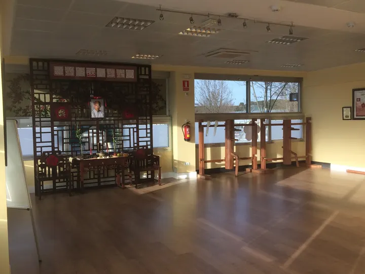Moy Yat Ving Tsun Martial Intelligence Europe — artes marciales-studio en La Puentecilla y Los Majuelos, Las Rozas de Madrid — 3