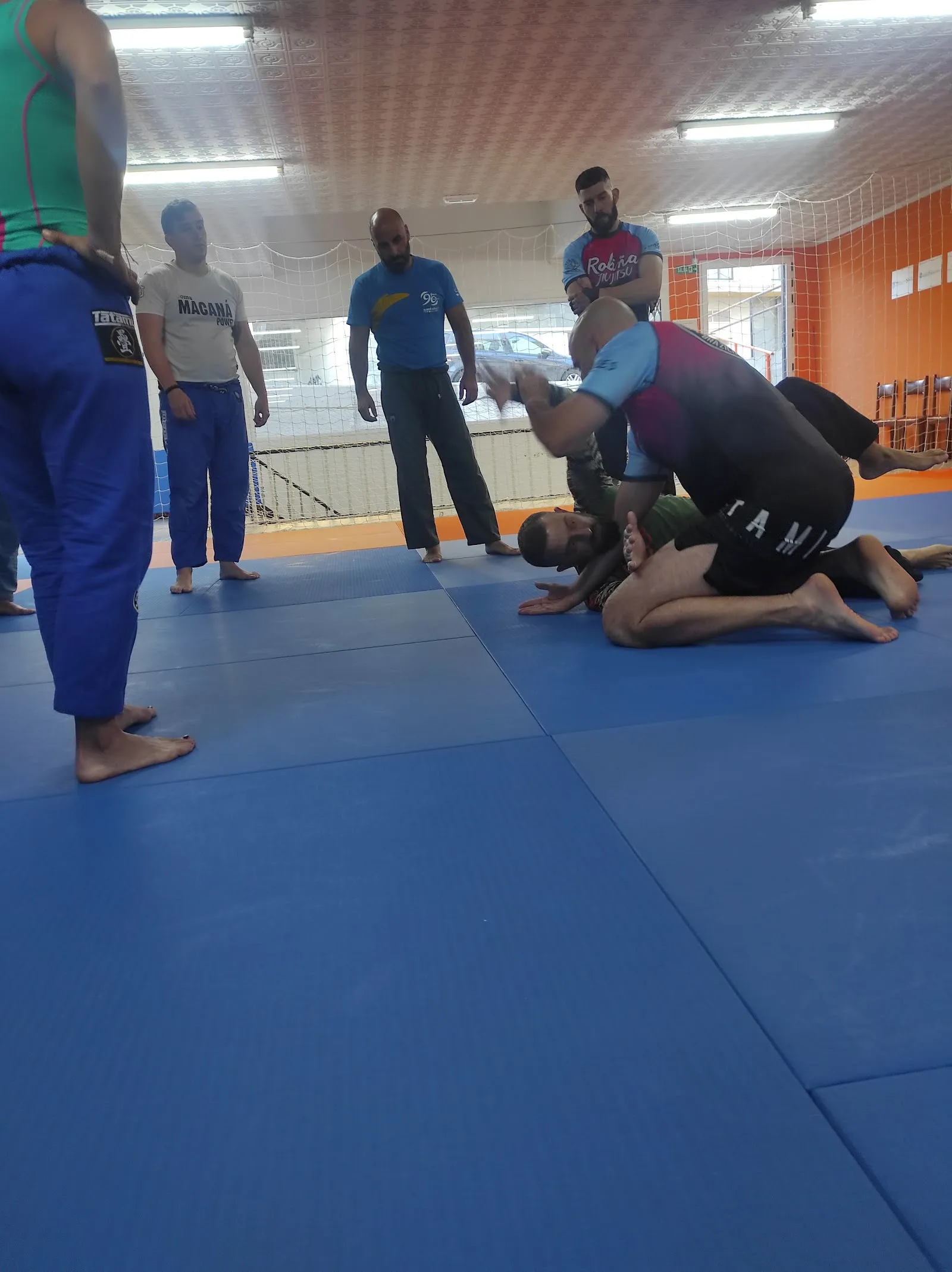 Junior Team Lugo - Brazilian Jiu Jitsu (BJJ) y Grappling (Nogi) — artes marciales-studio en Castelo de Abaixo, Lugo — 2