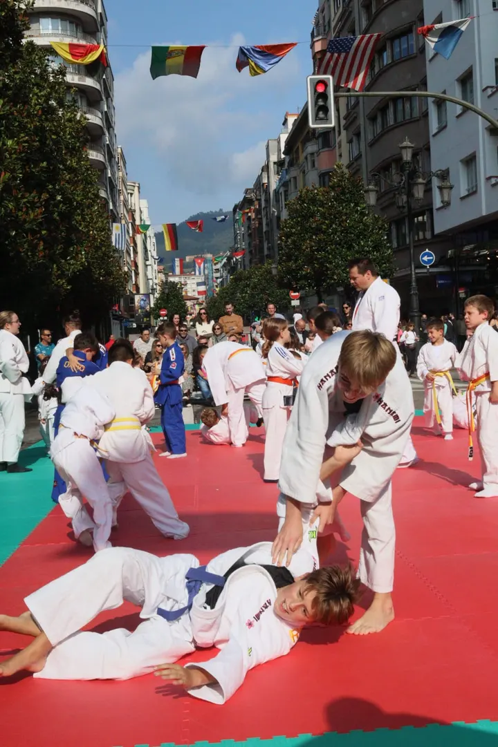 Club Judo Hanami — artes marciales-studio en El Vallobín, Oviedo — 3