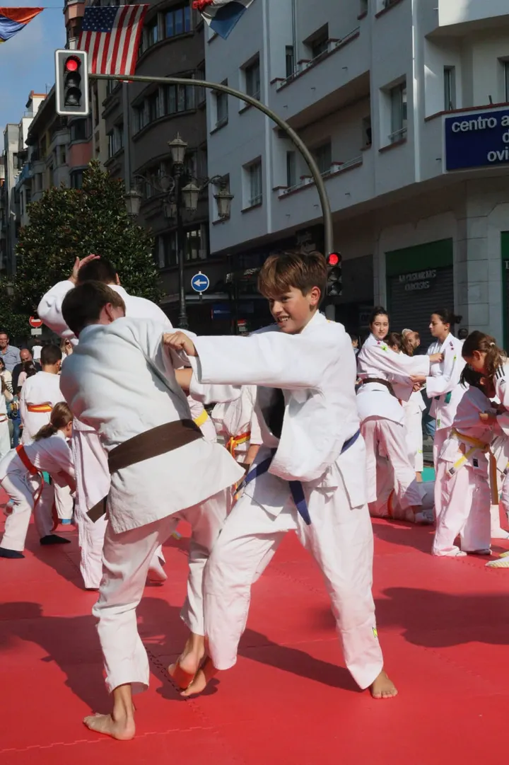 Club Judo Hanami — artes marciales-studio en Oviedo — 3