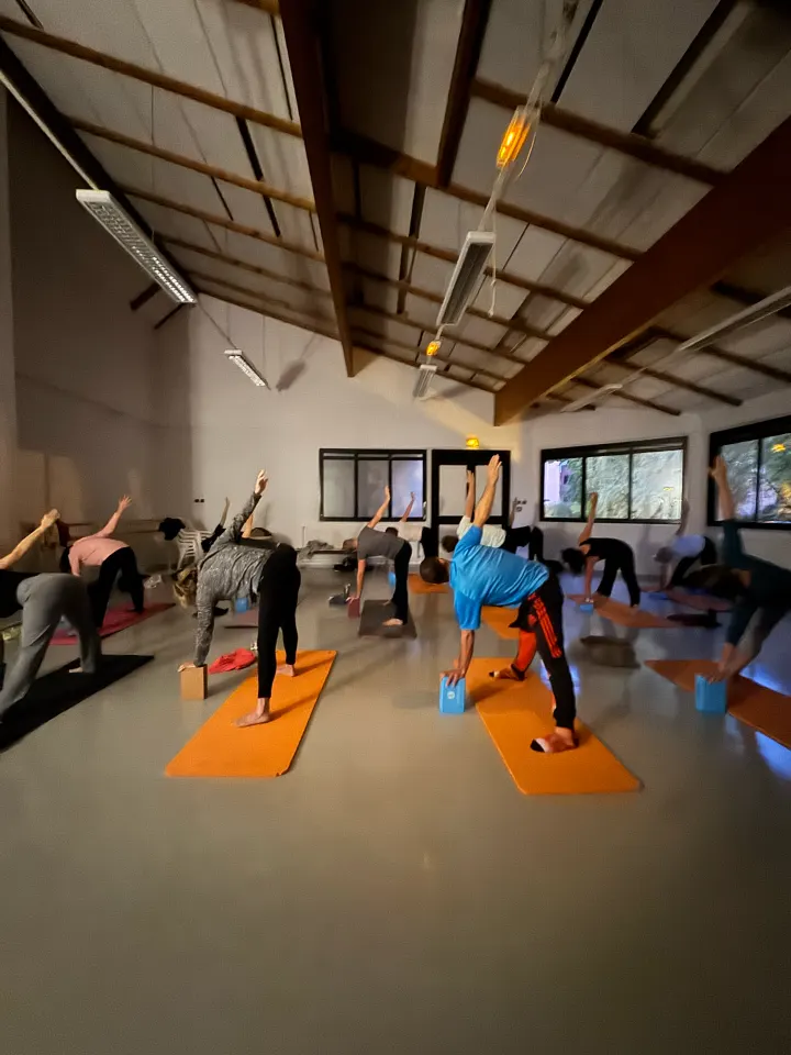 Basia Yoga — Yoga à Annecy-le-Vieux, Annecy