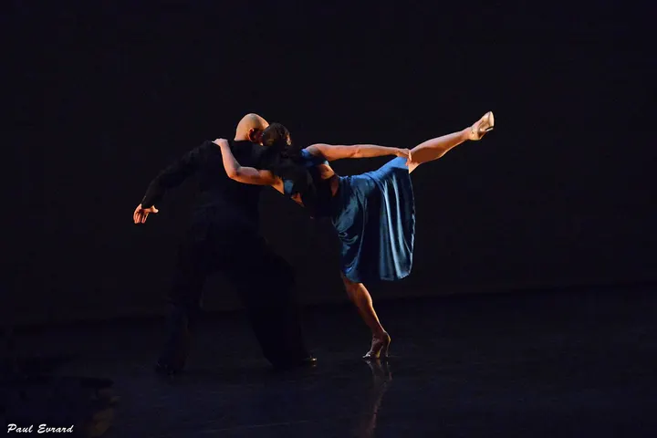 Association Centre Artdanse — danse-studio à Paris — 3