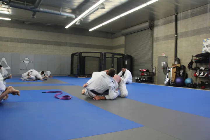 Team Babytank Jiu Jitsu — vechtsport-studio in Hedel — 3