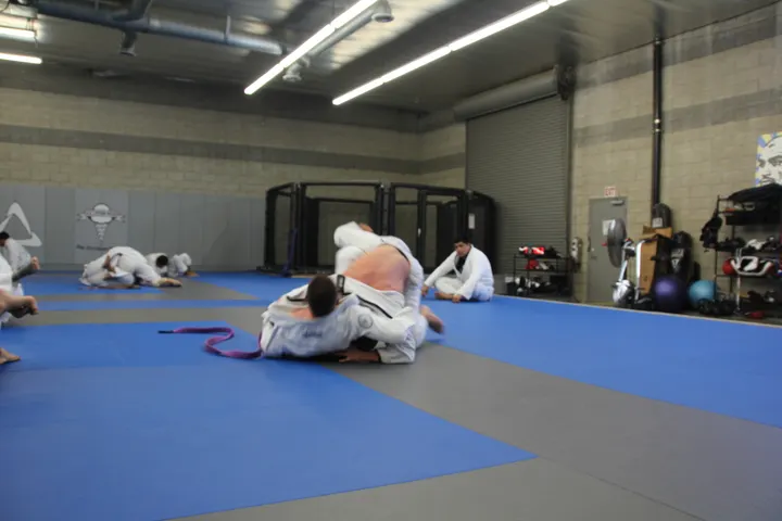 Team Babytank Jiu Jitsu — vechtsport-studio in Hedel — 3