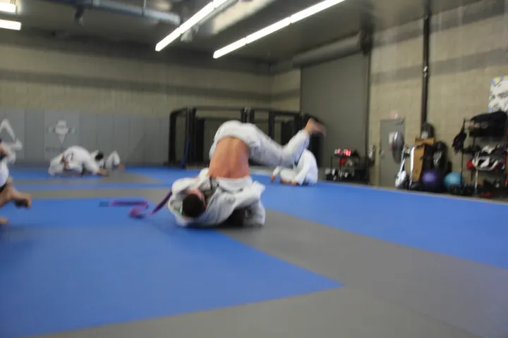 Team Babytank Jiu Jitsu — vechtsport-studio in Hedel — 4