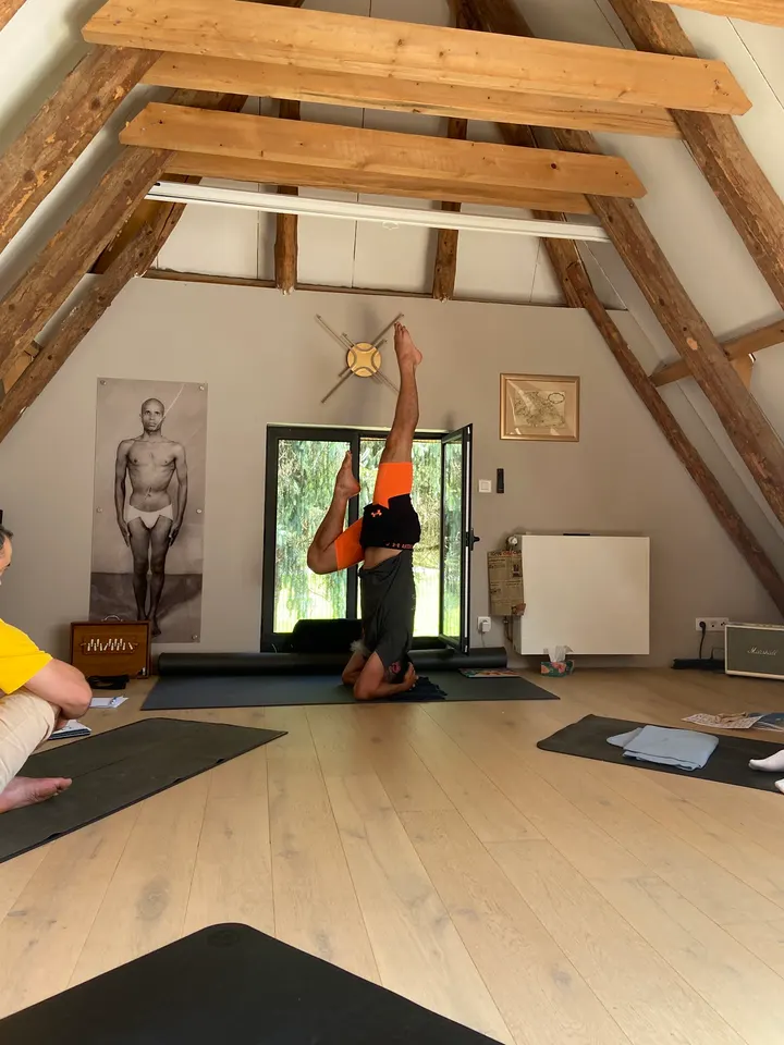 Sattva Yoga Shala Les Chalets / Bayard / Belfort / Saint-Aubin / Dupuy — yoga-studio aux Chalets / Bayard / Belfort / Saint-Aubin / Dupuy, Toulouse — 3