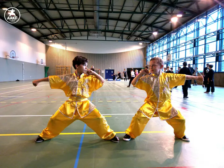 kung fu annecy — Arts martiaux à Le Clos Saint-Michel, Annecy