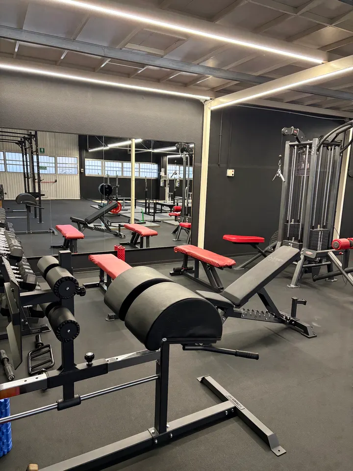 Bologna Powerlifting / BoloBodyFactory — sala pesi-studio a Róveri, Bologna — 2