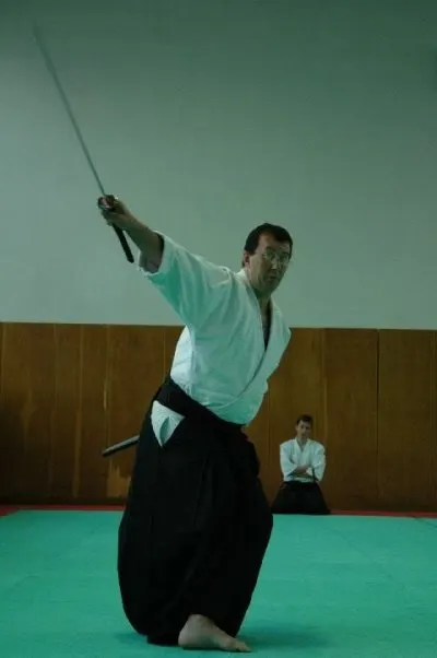Dojo Aïkido Metz-Tessy, Sakura Aïkikaï — arts martiaux-studio à Epagny Metz-Tessy — 3