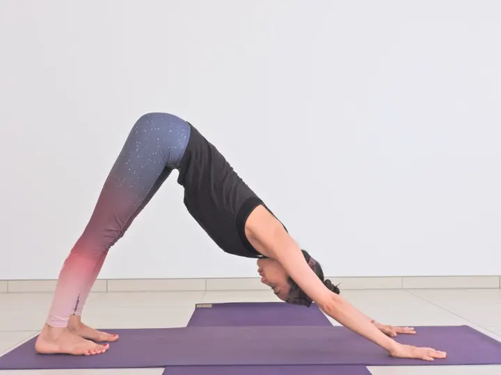 Yoga Studio Santosha Berlin - Invalidenpark — Yoga in Mitte, Berlin