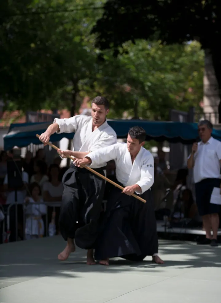aikido-plvpb-Lyon 3 Section — arts martiaux-studio à Lyon 3e Arrondissement, Lyon — 2