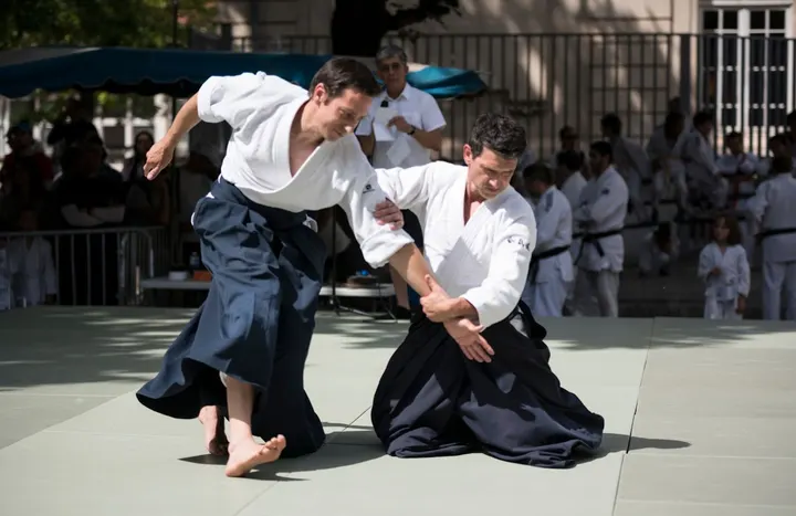 aikido-plvpb-Lyon 3 Section — arts martiaux-studio à Lyon — 4