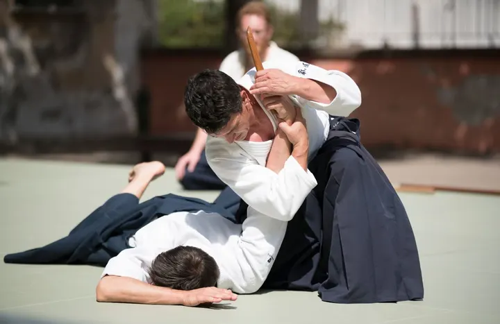 aikido-plvpb-Lyon 3 Section — arts martiaux-studio à Lyon — 5