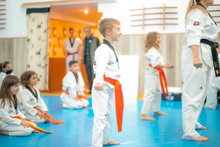 Escuela Victoria — artes marciales-studio en Los Tempranales, San Sebastián de los Reyes — 3