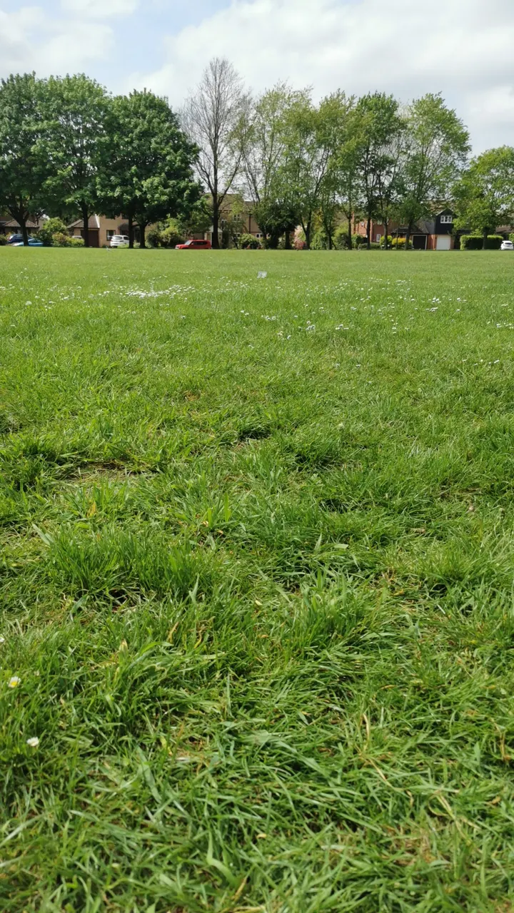 The gym park — fitness studio in Bury St Edmunds — 3