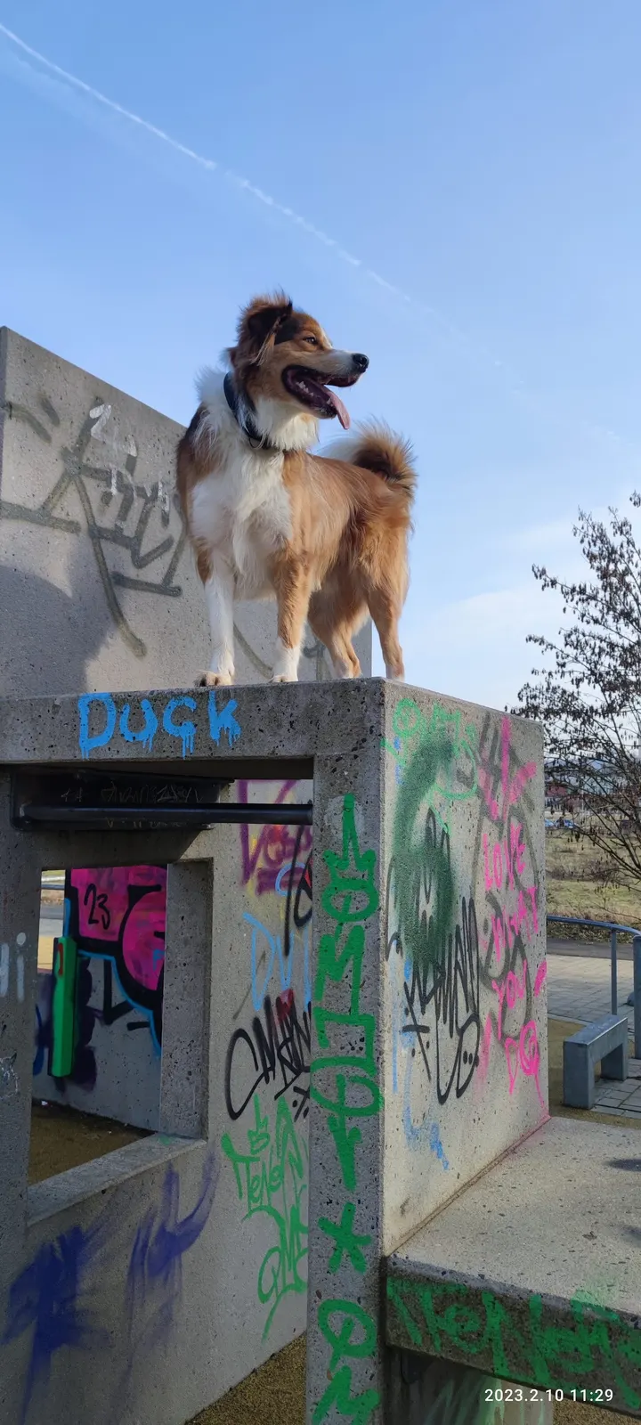 Calisthenics Park | Street Workout Park | Calisthenics-Anlage — fitnessstudio in Darmstadt — 4