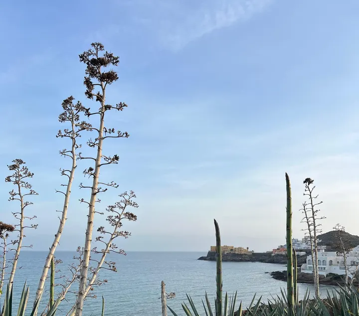 PILATES YOGA ALMERIA — pilates-studio i El Zapillo, Almería