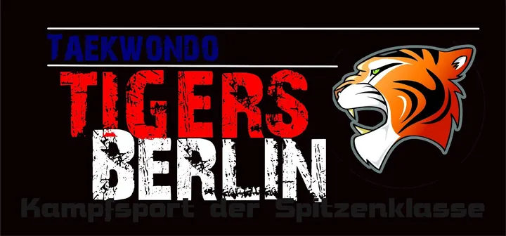 Taekwondo Tigers Berlin — kampfsport-studio in Wedding, Berlin — 2