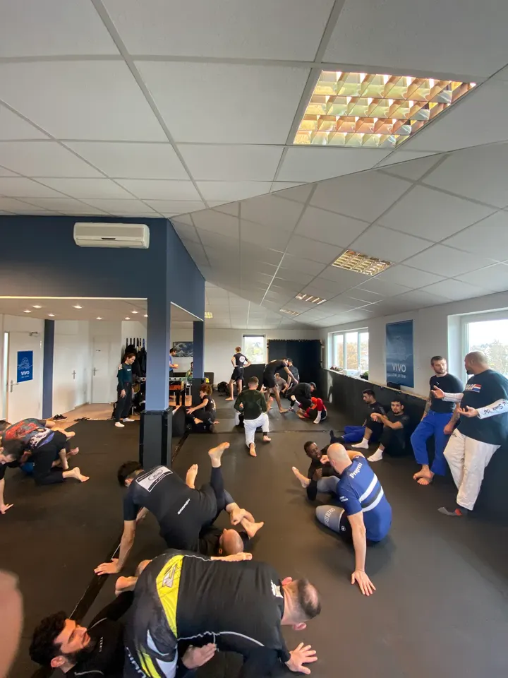 Vivo Fightzone — MMA in Mainz-Kastel, Wiesbaden