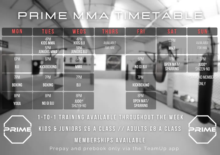 Prime Mma — mma-studio in Dunstable — 4