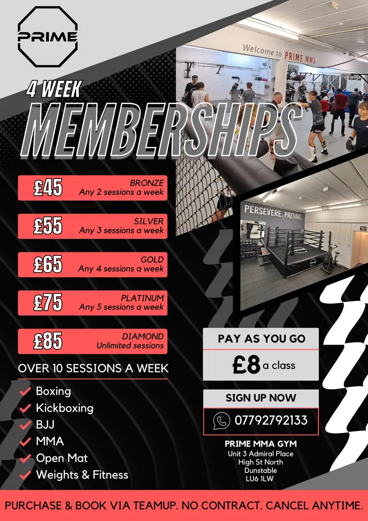 Prime Mma — mma-studio in Dunstable — 5