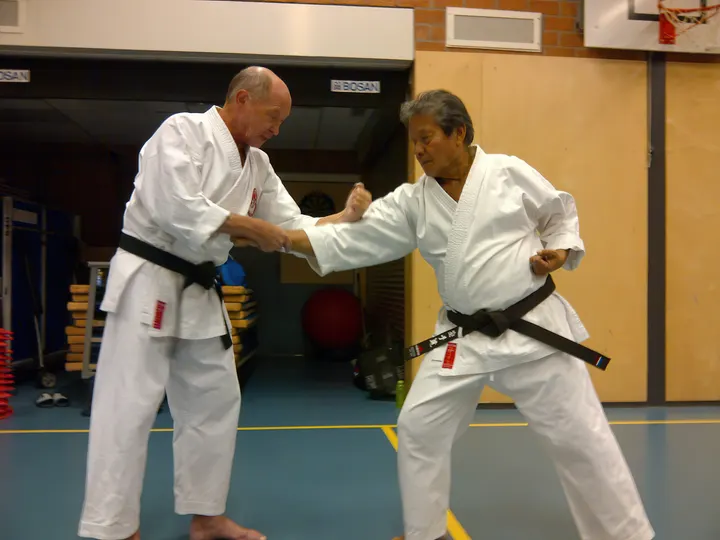 Karate-do Smaal Vogelkwartier — vechtsport-studio in Vogelkwartier, Apeldoorn — 3