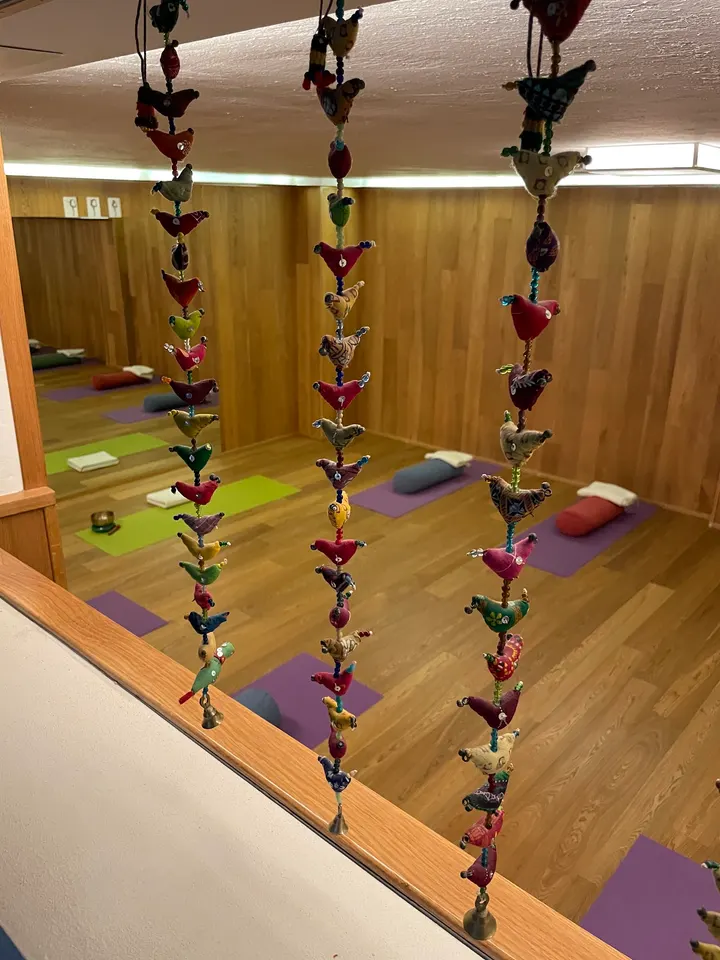 Yoga Studio per Silvia — Yoga a Lamarmora, Brescia