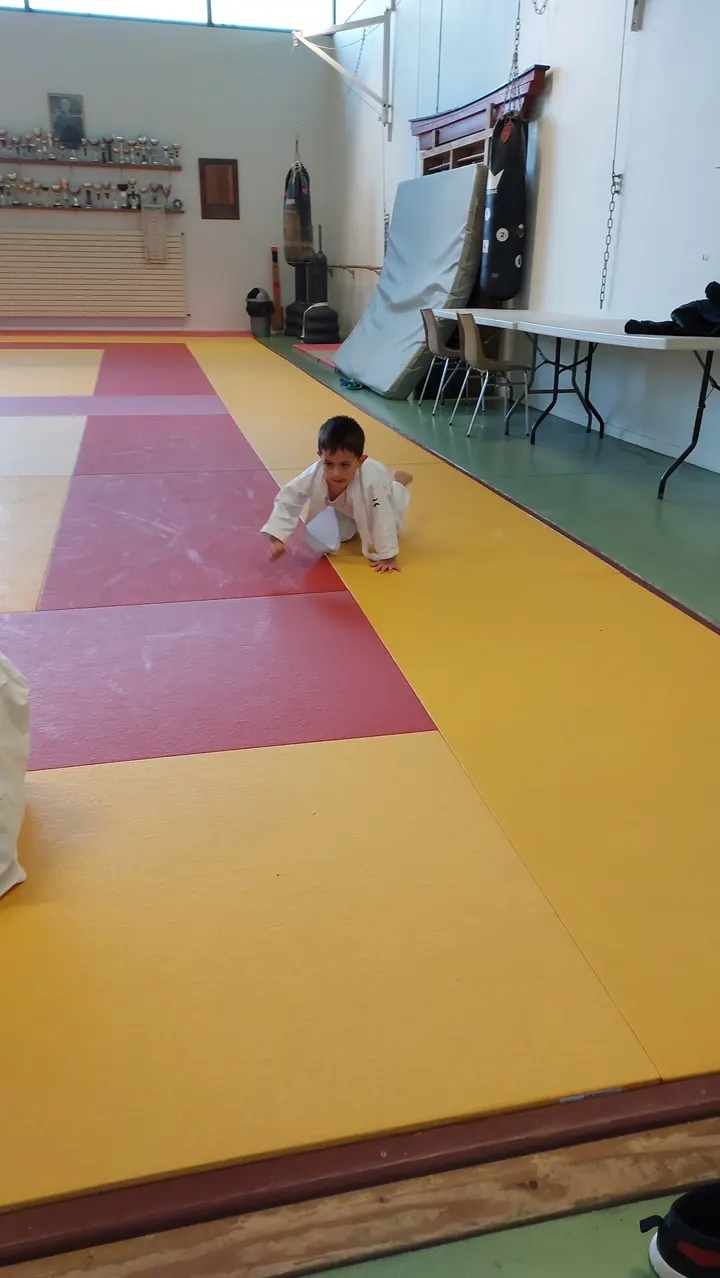 Judo JJB Fenouillet — jjb-studio à Toulouse — 3