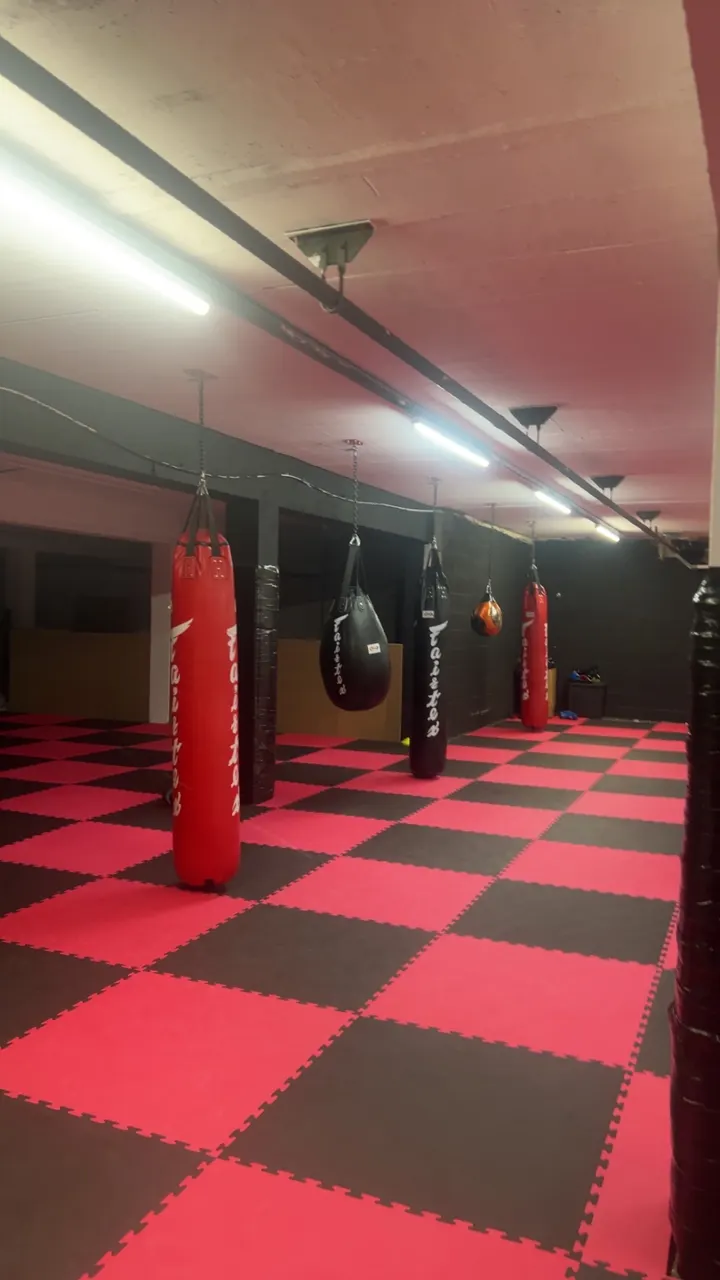 Apex Kickboxing Academy — kickboxing-studio in Scholemoor, Bradford — 2