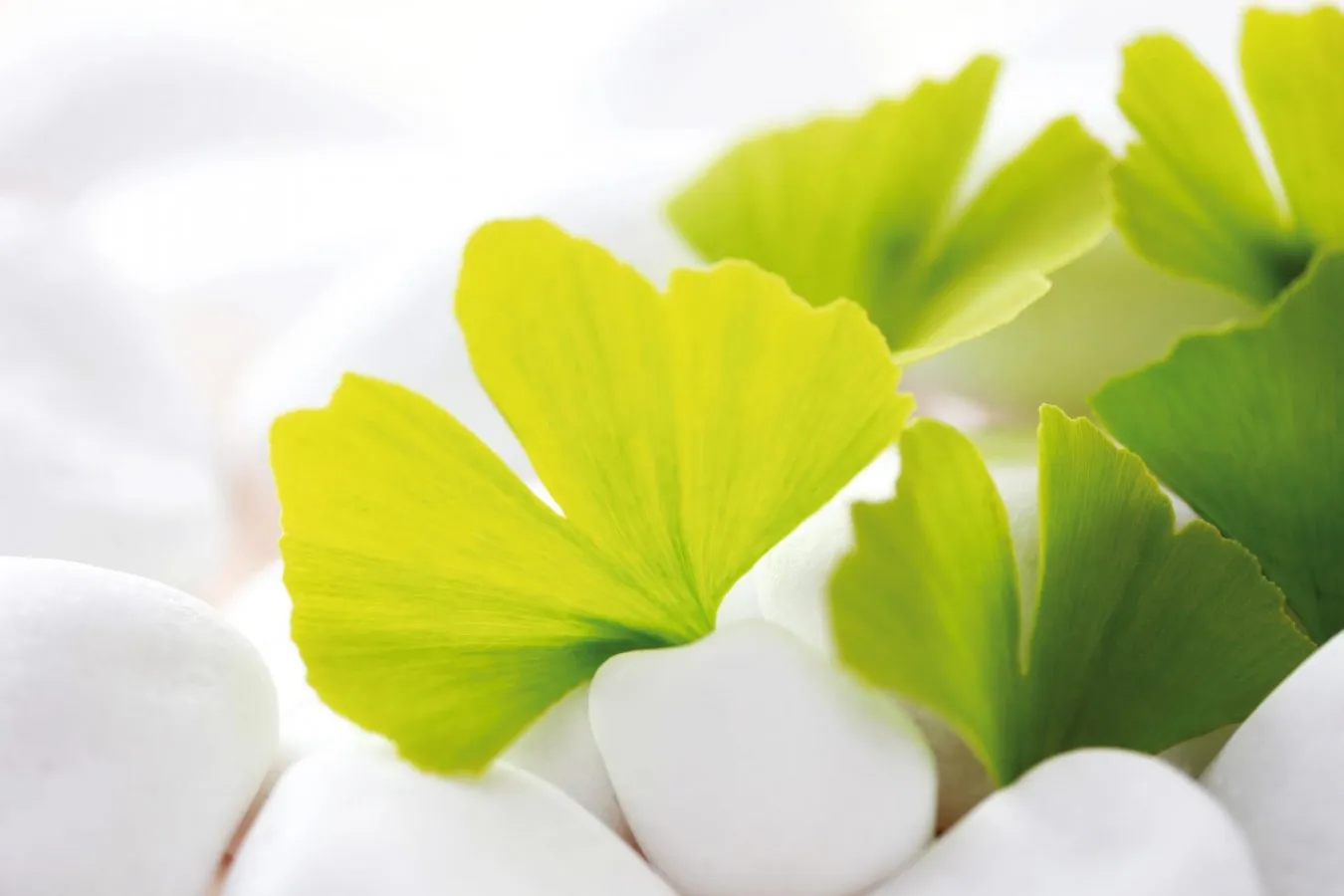 Stilla Stund eko spa — wellness-studio i Råå, Helsingborg — bild 2