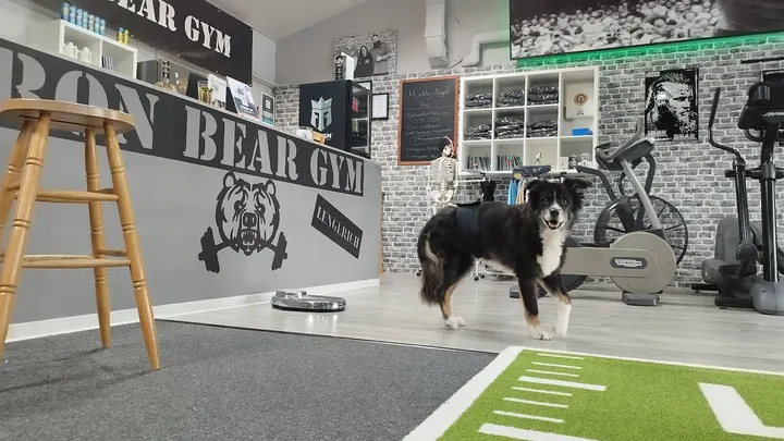 Iron Bear Lengerich — fitnessstudio in Lengerich — 2