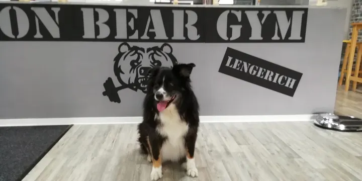 Iron Bear Lengerich — fitnessstudio in Lengerich — 5