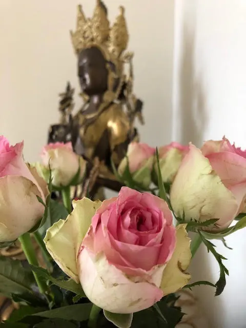 Concept Yoga — yoga-studio in Scheveningen, Den Haag — 2