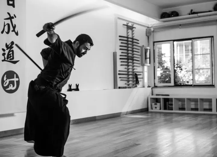 jisei dojo — artes marciais-studio em Lumiar, Lisboa — 2