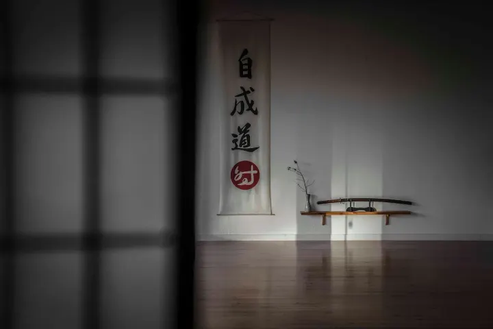 jisei dojo — artes marciais-studio em Lumiar, Lisboa — 3
