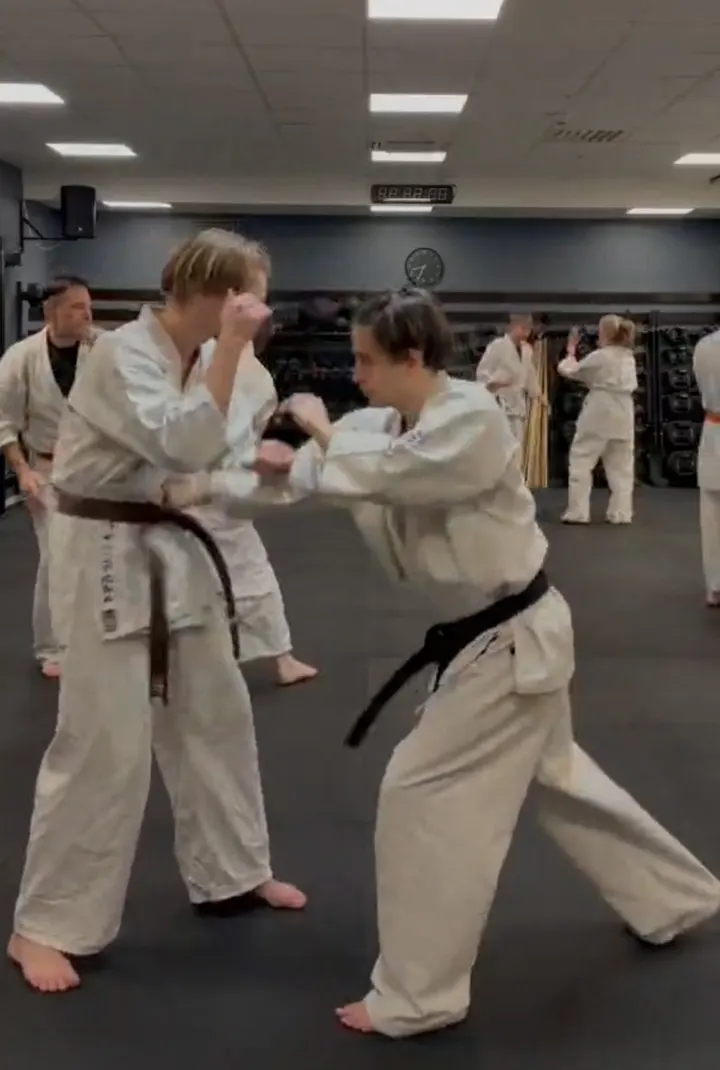 Shidokan Karate Sverige — kampsport-studio i Årsta — 2