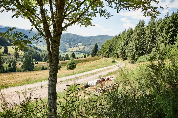 Tom Suchy - Health Coach — pt-studio in Mombach, Mainz — 2