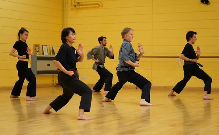 Shaolin Kung Fu Nam Pai Chuan — Martial Arts in Round Hill, Brighton