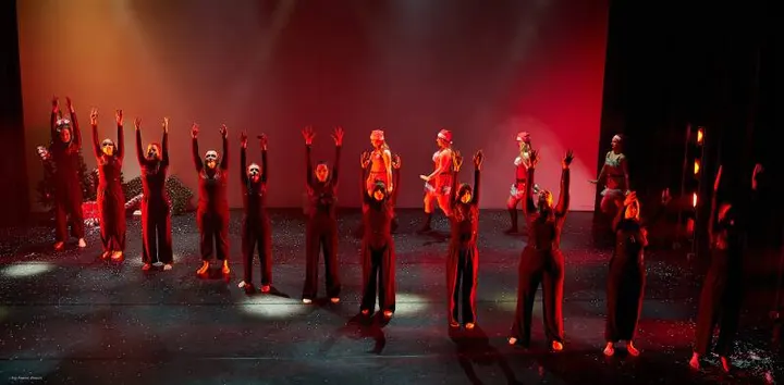 Dansschool Amara — dans-studio in Zoetermeer — 6