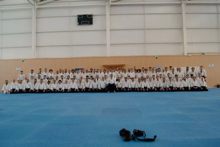 Asociación Cultural Aikido Bushikai — artes marciales-studio en El Viso del Alcor — 2