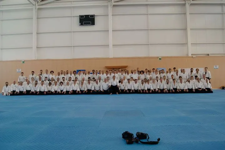 Asociación Cultural Aikido Bushikai — artes marciales-studio en El Viso del Alcor — 2