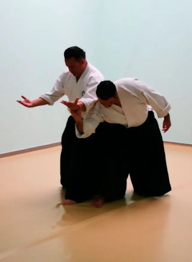 Asociación Cultural Aikido Bushikai — artes marciales-studio en El Viso del Alcor — 4